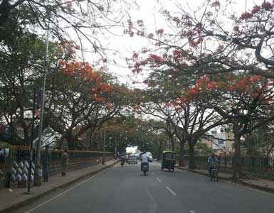 Velachery call girls